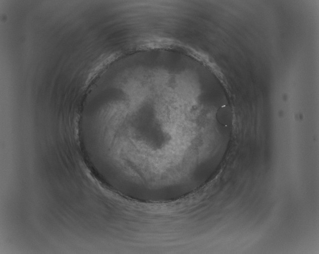 X0000073410010200608251536