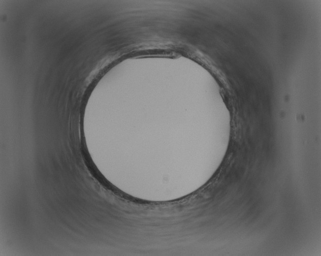 X0000073410011200608251536