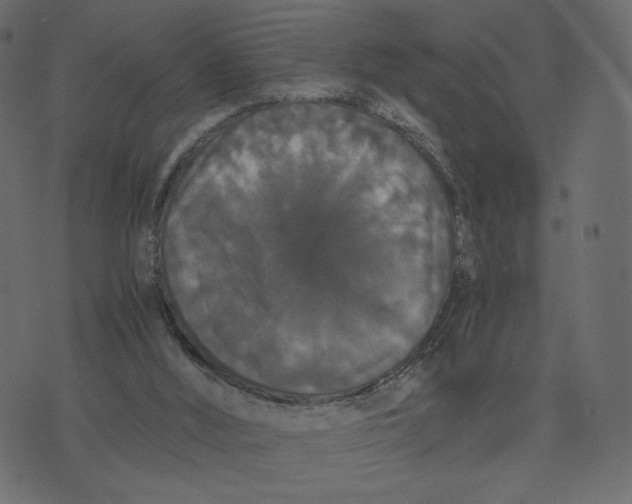 X0000073410012200608251536