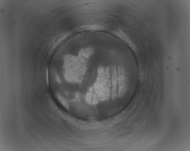 X0000073410014200608251536