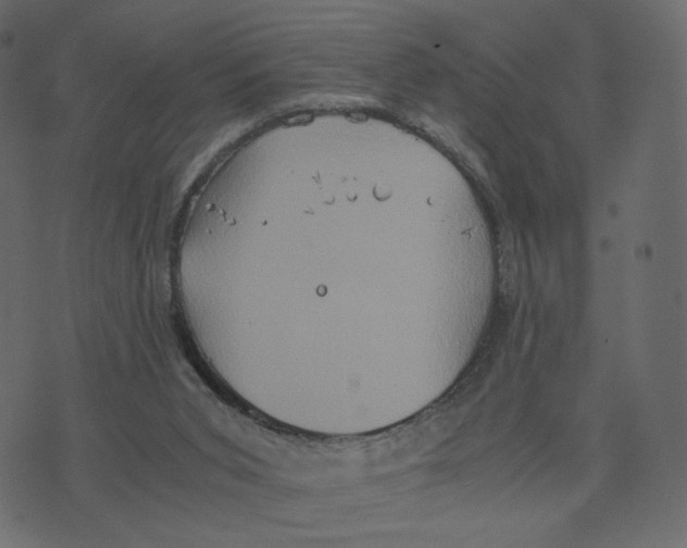 X0000073410015200608251536