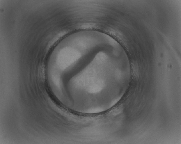 X0000073410016200608251536