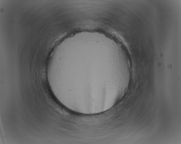 X0000073410017200608251536