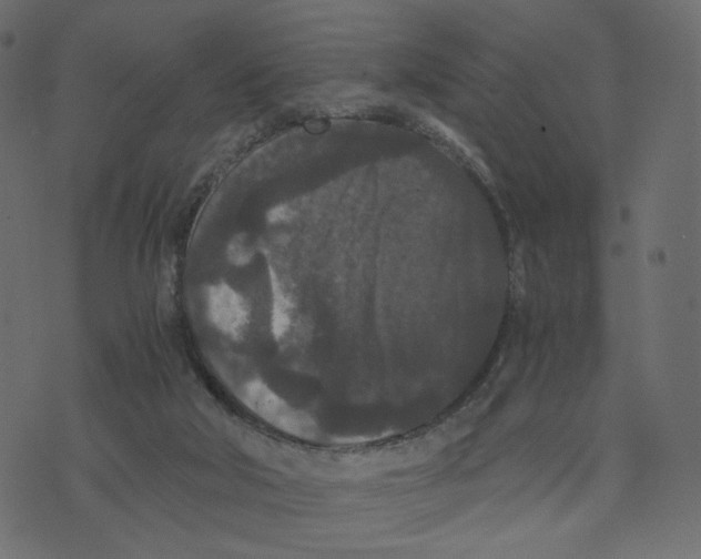 X0000073410018200608251536