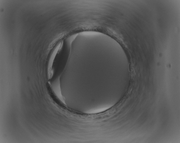 X0000073410019200608251536