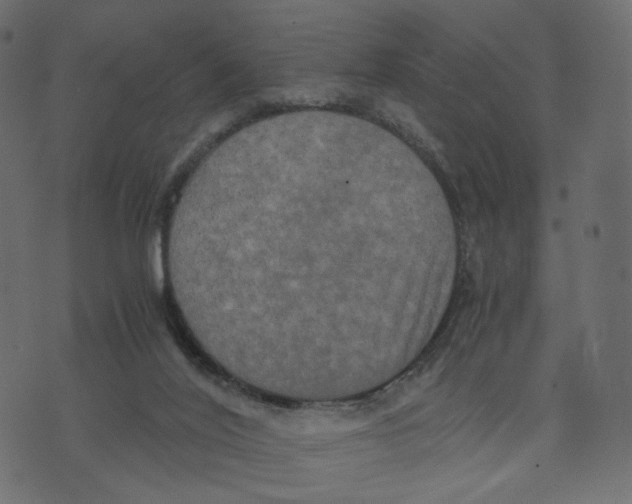 X0000073410020200608251536