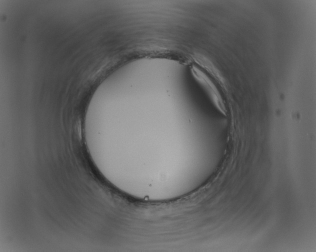 X0000073410021200608251536