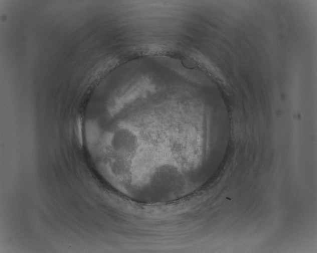 X0000073410022200608251536