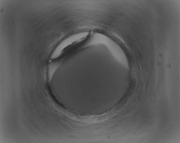 X0000073410023200608251536