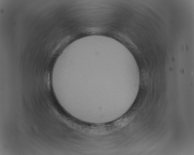 X0000073410024200608251536