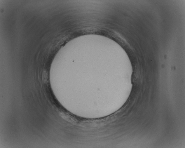 X0000073410025200608251536