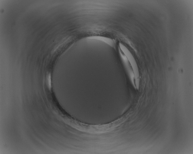 X0000073410027200608251536