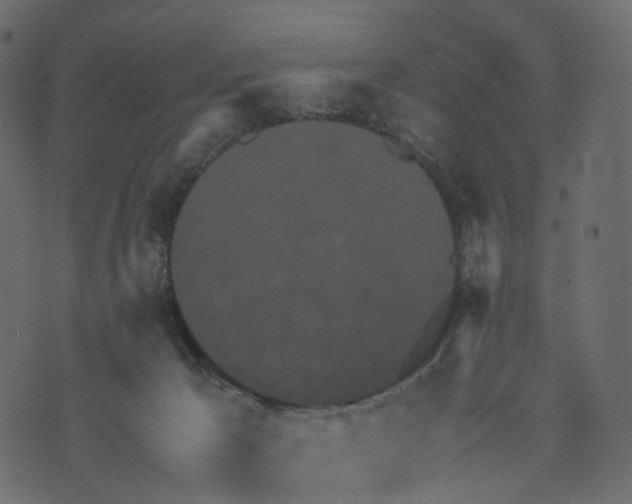 X0000073410029200608251536