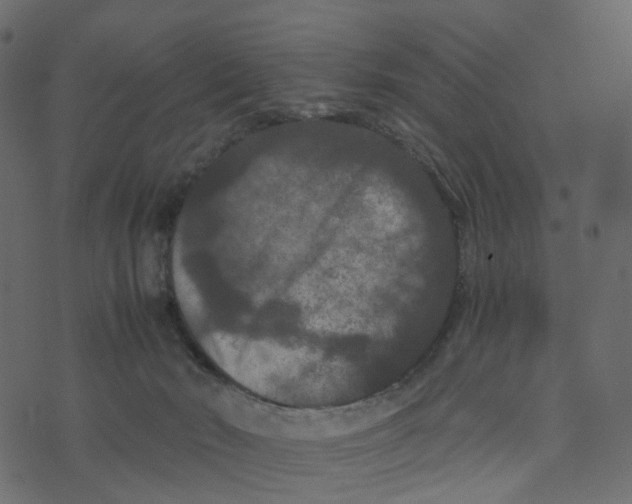 X0000073410030200608251536