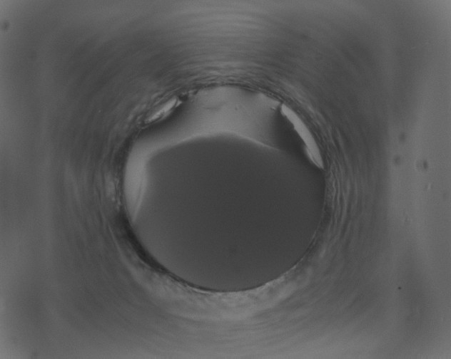 X0000073410031200608251536