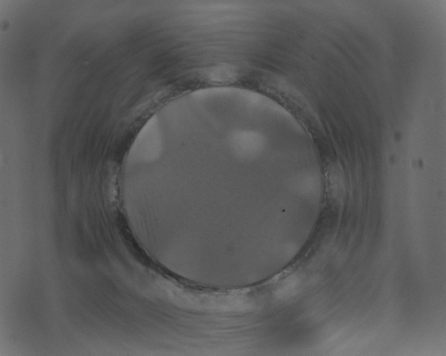 X0000073410032200608251536