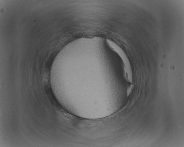 X0000073410033200608251536