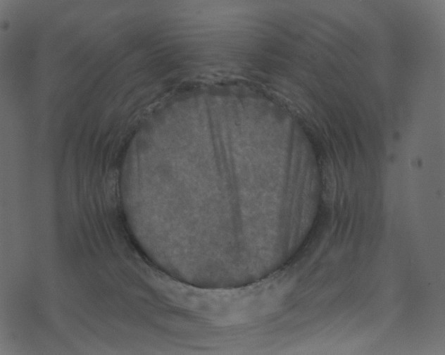 X0000073410034200608251536