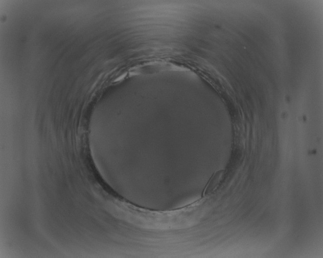 X0000073410035200608251536