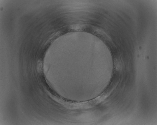 X0000073410036200608251536