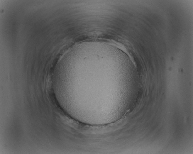 X0000073410037200608251536