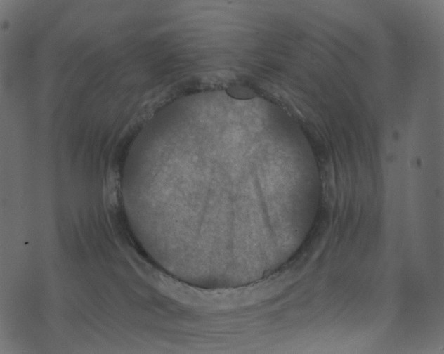 X0000073410038200608251536