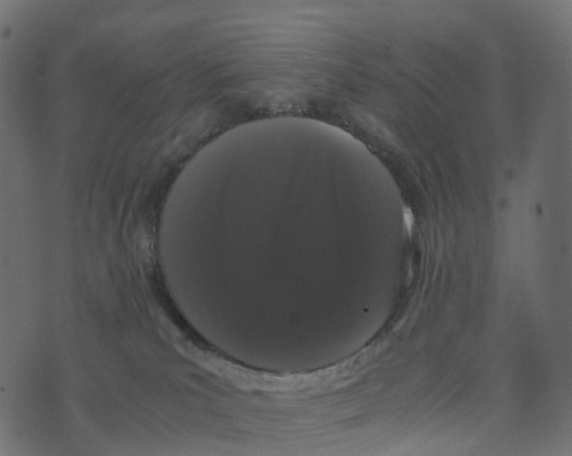 X0000073410039200608251536