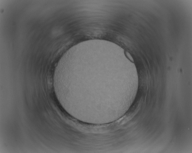 X0000073410040200608251536