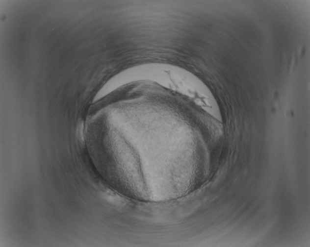 X0000073410041200608251536