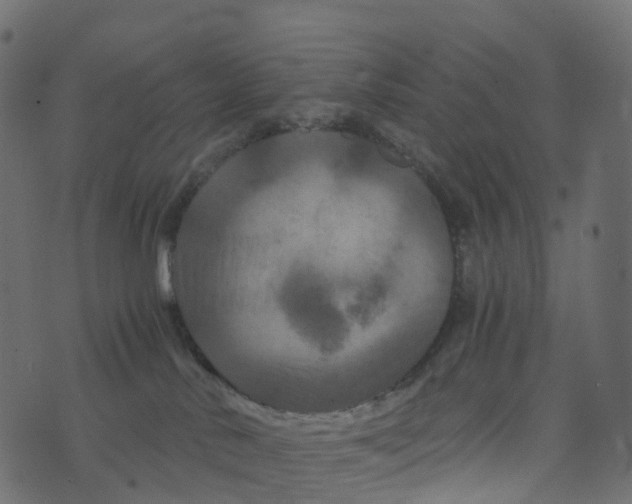 X0000073410042200608251536