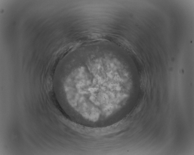 X0000073410043200608251536