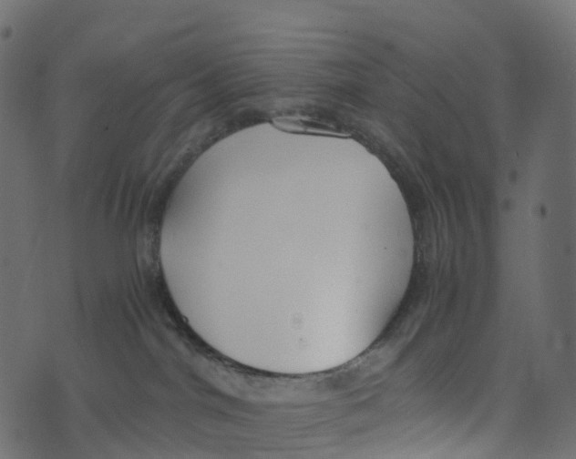 X0000073410044200608251536