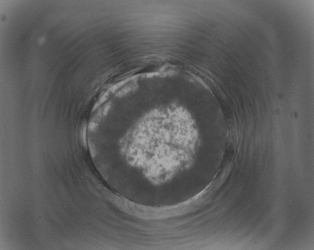 X0000073410047200608251536