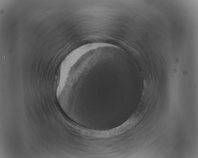 X0000073410048200608251536