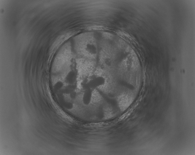 X0000073410049200608251535