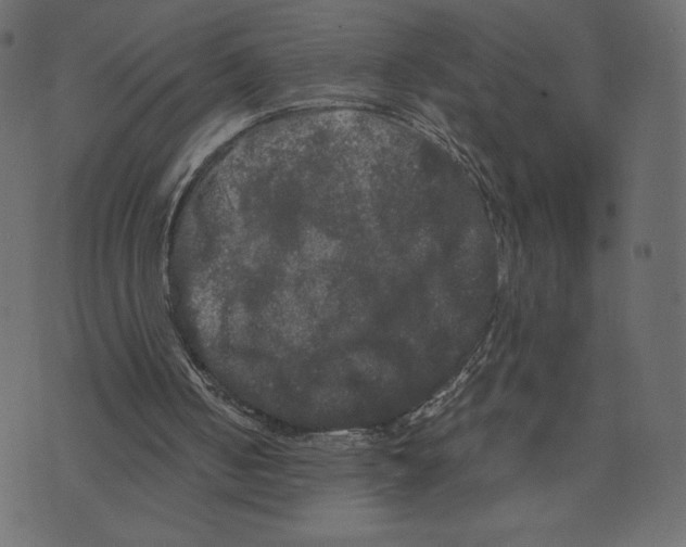 X0000073410050200608251535