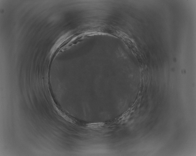 X0000073410051200608251535