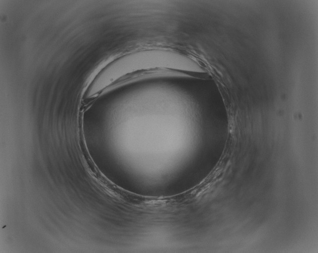 X0000073410052200608251535