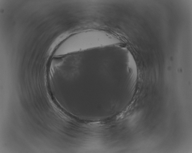 X0000073410054200608251535