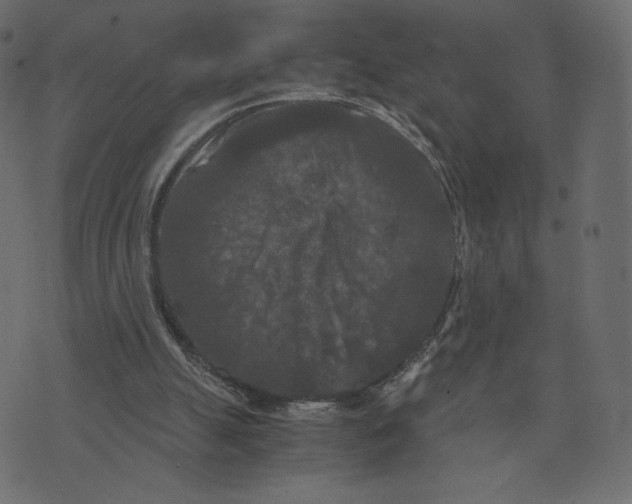 X0000073410055200608251535