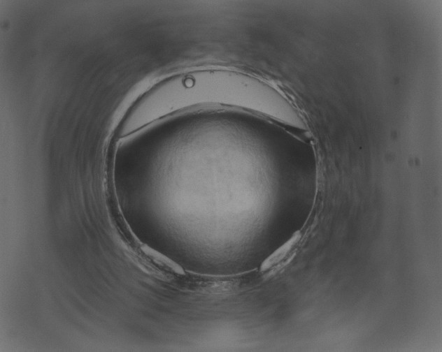 X0000073410056200608251535