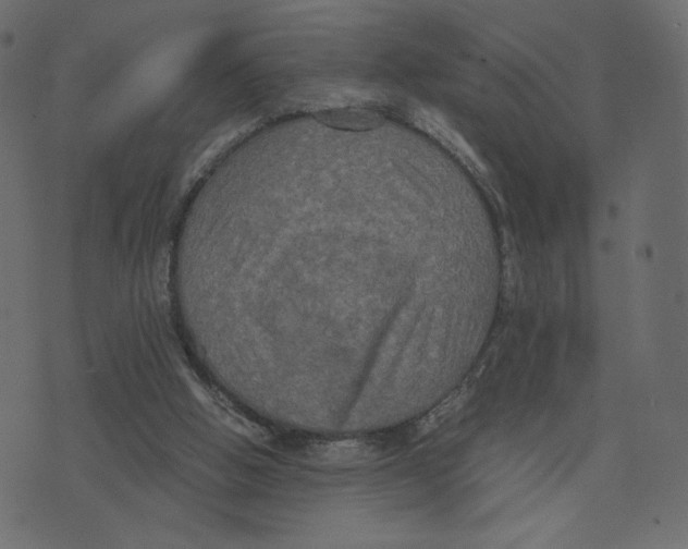 X0000073410058200608251535