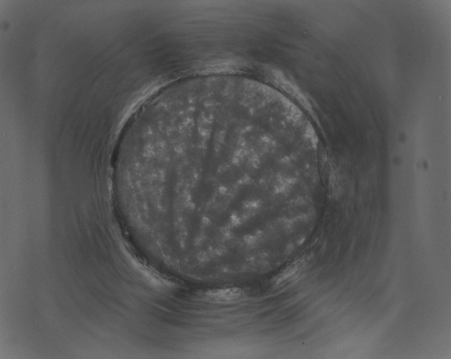 X0000073410059200608251535