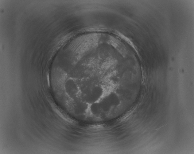 X0000073410061200608251535