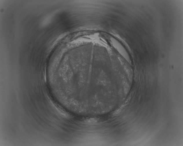 X0000073410062200608251535