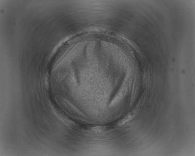 X0000073410064200608251535