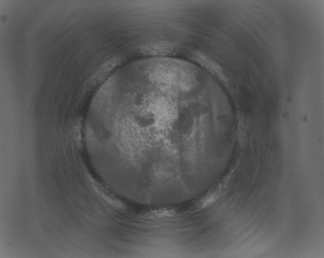 X0000073410065200608251535