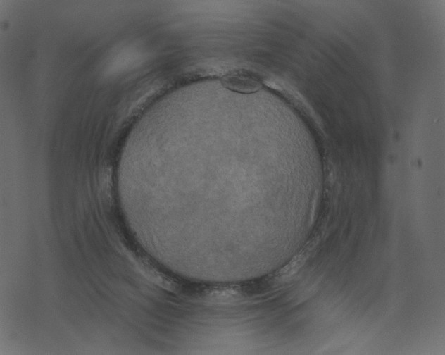 X0000073410066200608251535