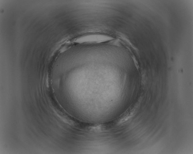 X0000073410068200608251535