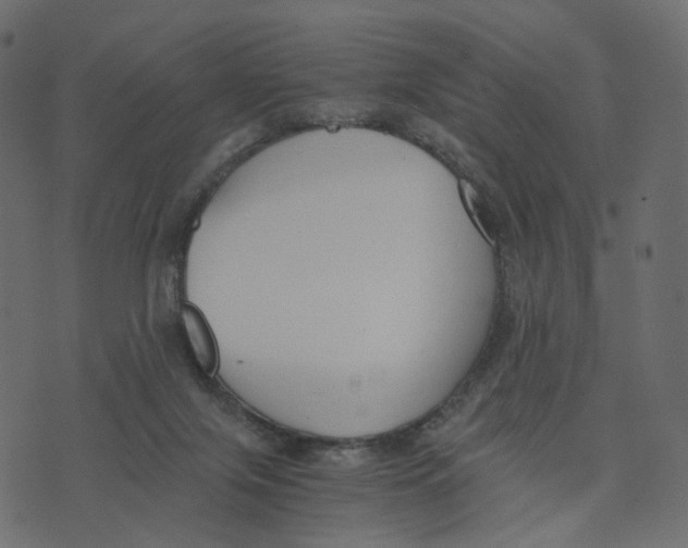 X0000073410071200608251535